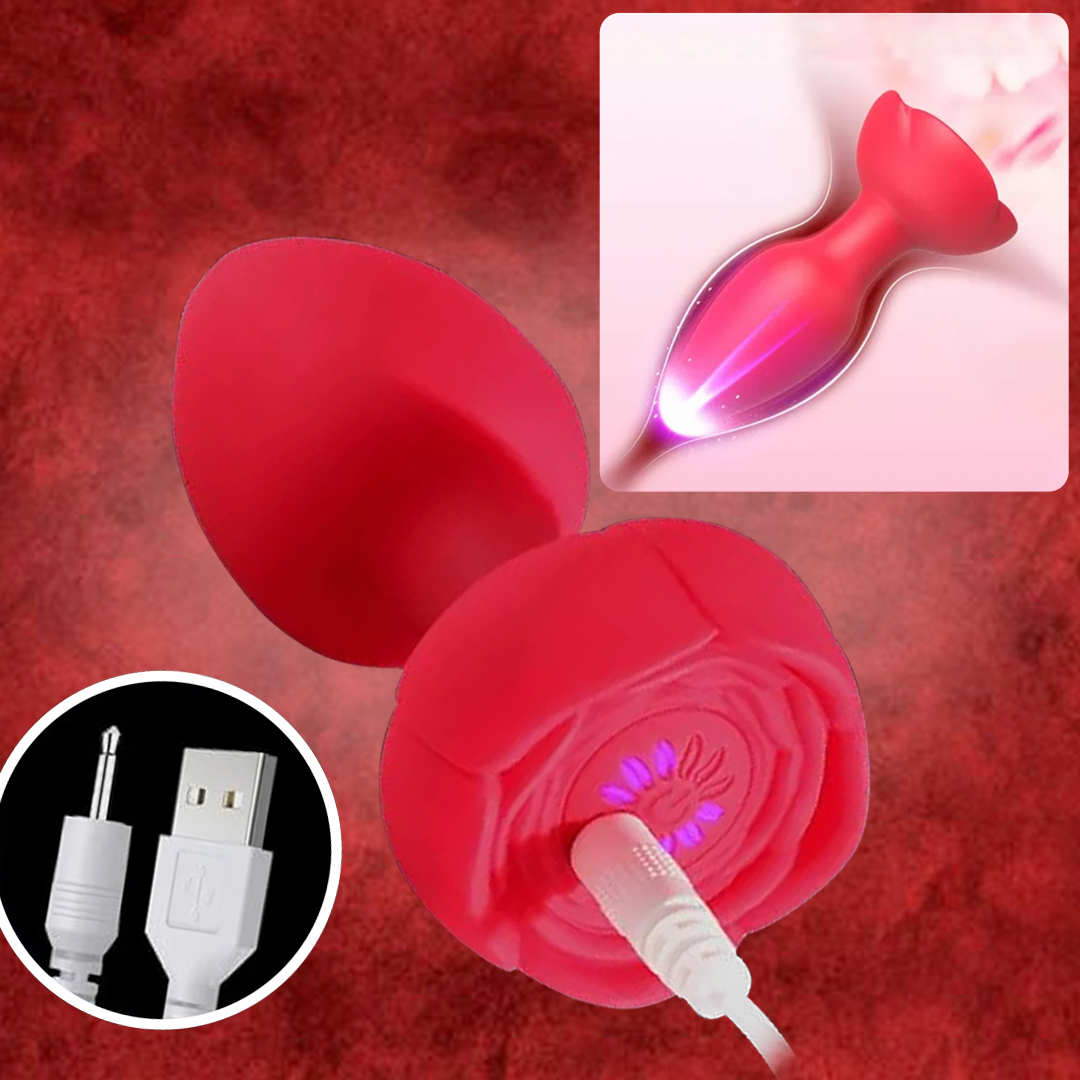 Plug Anal Rosa con Vibración y Luces